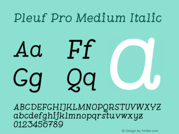 Pleuf Pro Medium Italic Version 2.030图片样张