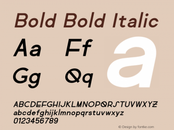 Bold Bold Italic Version 1.000 Font Sample