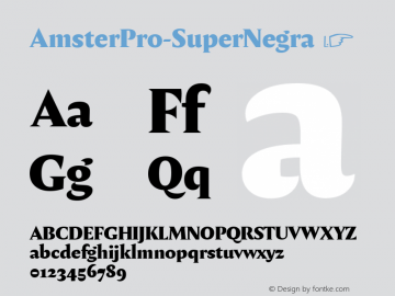 AmsterPro-SuperNegra ☞ Version 1.000;PS 001.000;hotconv 1.0.70;makeotf.lib2.5.58329;com.myfonts.easy.pampatype.amster.pro-super-negra.wfkit2.version.4mQH Font Sample