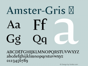 Amster-Gris ☞ Version 1.000;PS 001.000;hotconv 1.0.70;makeotf.lib2.5.58329;com.myfonts.easy.pampatype.amster.gris-regular.wfkit2.version.4mdF Font Sample