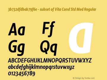 3b732dfdbab79f6e - subset of Vita Cond Std Med Regular Version 001.000; 2016图片样张