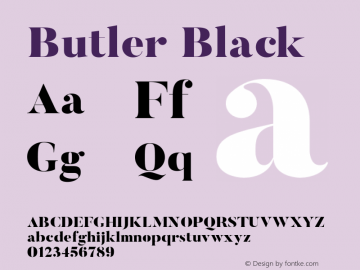Butler Black 1.000图片样张