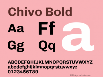Chivo Bold Version 1.004;PS 001.004;hotconv 1.0.88;makeotf.lib2.5.64775 Font Sample