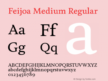 Feijoa Medium Regular Version 1.000. Initial release, 2007/02/14 Font Sample