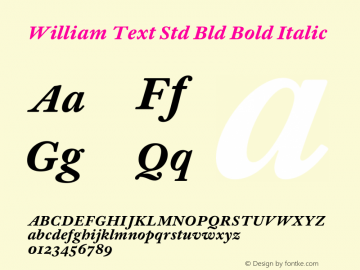 William Text Std Bld Bold Italic Version 1.0; 2016 Font Sample