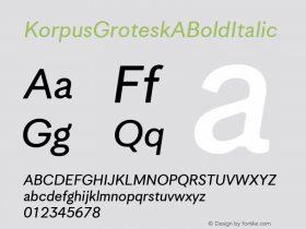 Korpus GroteskA Bold Italic Version 1.005图片样张