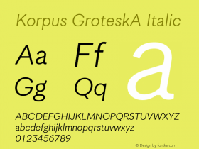 Korpus GroteskA Italic Version 1.005图片样张