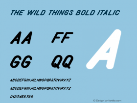 The Wild Things Bold Italic Version 1.000图片样张