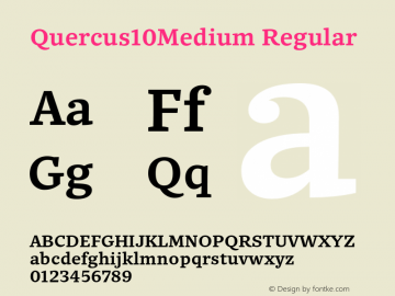 Quercus10Medium Regular Version 1.000;com.myfonts.easy.storm.quercus-ten.medium.wfkit2.version.4mve Font Sample