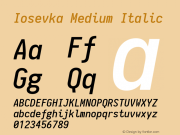 Iosevka Medium Italic 1.8.1; ttfautohint (v1.5)图片样张