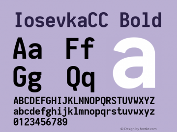 IosevkaCC Bold 1.8.2; ttfautohint (v1.5) Font Sample