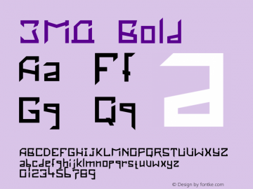 ЗМД Bold Version 1.1 December 20, 2008图片样张
