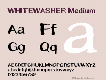 WHITEWASHER Medium Version 001.000图片样张