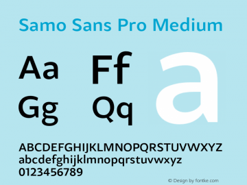 Samo Sans Pro Medium Version 1.000 2010 initial release;com.myfonts.carnoky.samo-sans-pro.medium.wfkit2.3RZd Font Sample