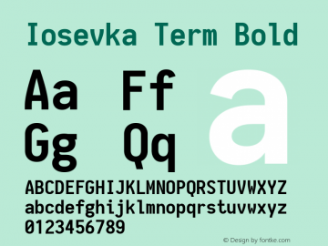 Iosevka Term Bold 1.8.3; ttfautohint (v1.5)图片样张