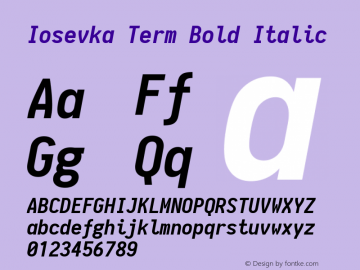 Iosevka Term Bold Italic 1.8.3; ttfautohint (v1.5)图片样张
