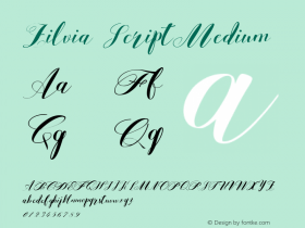 Zilvia Script Medium Version 1.000 Font Sample