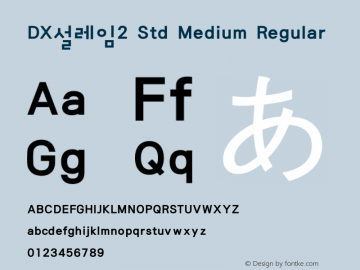 DX설레임2 Std Medium Regular Version 1.0图片样张