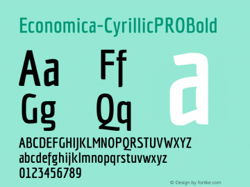 Economica-CyrillicPROBold ☞ Version 001.001;com.myfonts.easy.tipotype.economica-cyrillic-pro.bold.wfkit2.version.4ysD Font Sample