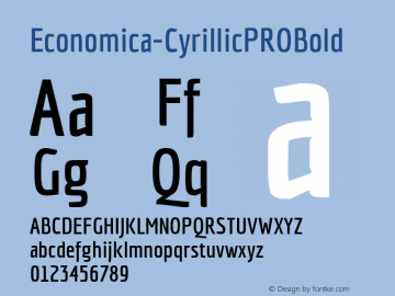 Economica-CyrillicPROBold ☞ Version 001.001;com.myfonts.easy.tipotype.economica-cyrillic-pro.bold.wfkit2.version.4ysD Font Sample