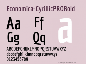 Economica-CyrillicPROBold ☞ Version 001.001;com.myfonts.easy.tipotype.economica-cyrillic-pro.bold.wfkit2.version.4ysD图片样张