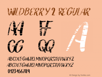 Wildberry2 Regular Version 1.000;PS 001.000;hotconv 1.0.70;makeotf.lib2.5.58329图片样张