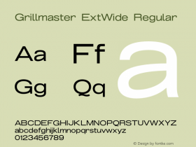 Grillmaster ExtWide Regular Version 1.000图片样张