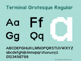 Terminal Grotesque Regular Version 1.0图片样张