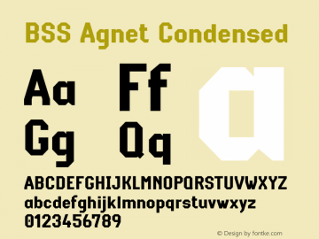 BSS Agnet Condensed Version 1.000图片样张