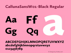 CallunaSansW01-Black Regular Version 1.1 Font Sample