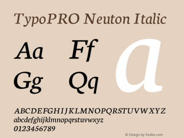 TypoPRO Neuton Italic Version 1.46图片样张