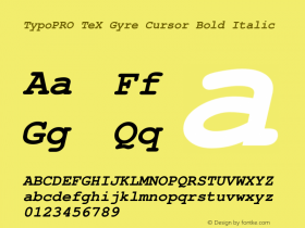 TypoPRO TeX Gyre Cursor Bold Italic Version 2.004;PS 2.004;hotconv 1.0.49;makeotf.lib2.0.14853 Font Sample