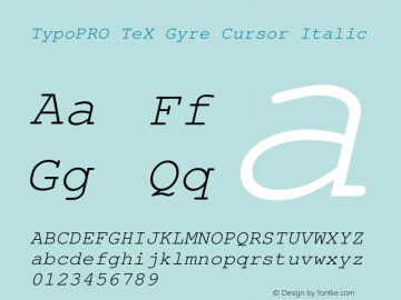 TypoPRO TeX Gyre Cursor Italic Version 2.004;PS 2.004;hotconv 1.0.49;makeotf.lib2.0.14853 Font Sample