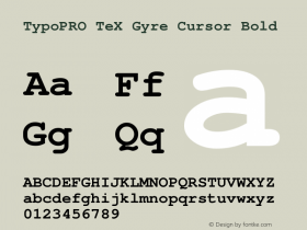 TypoPRO TeX Gyre Cursor Bold Version 2.004;PS 2.004;hotconv 1.0.49;makeotf.lib2.0.14853图片样张