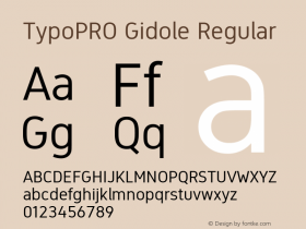 TypoPRO Gidole Regular Version 2.0.2图片样张