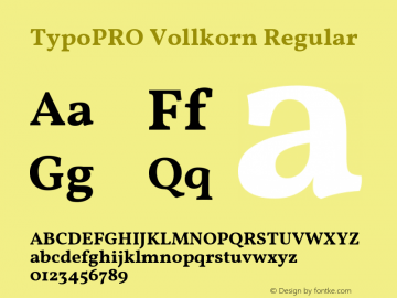 TypoPRO Vollkorn Regular Version 3.005;PS 003.005;hotconv 1.0.70;makeotf.lib2.5.58329图片样张