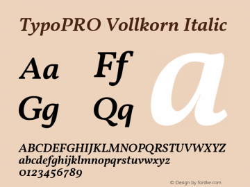 TypoPRO Vollkorn Italic Version 3.005;PS 003.005;hotconv 1.0.70;makeotf.lib2.5.58329图片样张