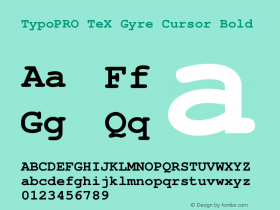 TypoPRO TeX Gyre Cursor Bold Version 2.004;PS 2.004;hotconv 1.0.49;makeotf.lib2.0.14853 Font Sample