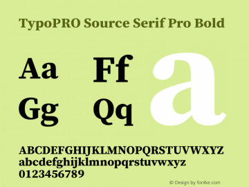 TypoPRO Source Serif Pro Bold Version 1.017;PS 1.0;hotconv 1.0.79;makeotf.lib2.5.61930图片样张