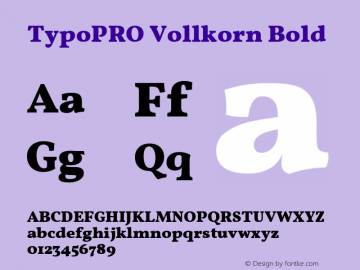 TypoPRO Vollkorn Bold Version 3.005;PS 003.005;hotconv 1.0.70;makeotf.lib2.5.58329图片样张