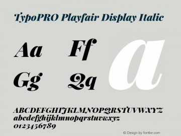 TypoPRO Playfair Display Italic Version 1.004;PS 001.004;hotconv 1.0.70;makeotf.lib2.5.58329; ttfautohint (v0.96) -l 42 -r 42 -G 200 -x 14 -w 