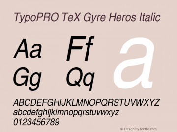 TypoPRO TeX Gyre Heros Italic Version 2.004;PS 2.004;hotconv 1.0.49;makeotf.lib2.0.14853 Font Sample