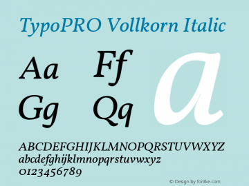 TypoPRO Vollkorn Italic Version 3.005;PS 003.005;hotconv 1.0.70;makeotf.lib2.5.58329图片样张