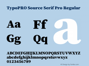 TypoPRO Source Serif Pro Regular Version 1.017;PS 1.0;hotconv 1.0.79;makeotf.lib2.5.61930图片样张