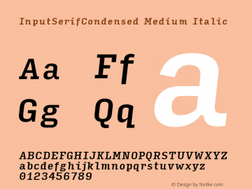 InputSerifCondensed Medium Italic Version 0.000;PS 0.0;hotconv 1.0.72;makeotf.lib2.5.5900图片样张