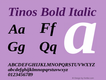 Tinos Bold Italic Version 1.32 Font Sample