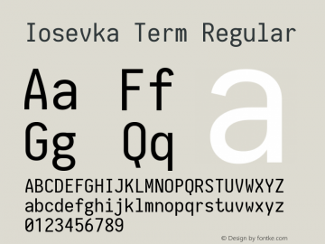 Iosevka Term Regular 1.8.4; ttfautohint (v1.5)图片样张