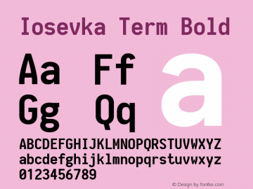Iosevka Term Bold 1.8.4; ttfautohint (v1.5)图片样张
