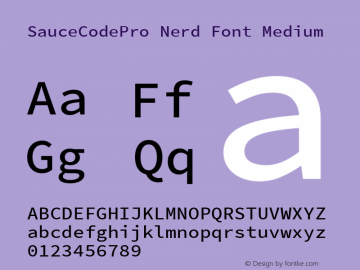 SauceCodePro Nerd Font Medium Version 2.010;PS 1.000;hotconv 1.0.84;makeotf.lib2.5.63406 Font Sample