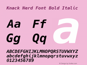 Knack Nerd Font Bold Italic Version 2.019; ttfautohint (v1.4.1) -l 4 -r 80 -G 350 -x 0 -H 265 -D latn -f latn -w G -W -t -X 